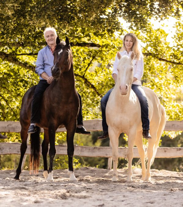 Delfin Horsetraining, Freireiten-Kurs in Binningen BL