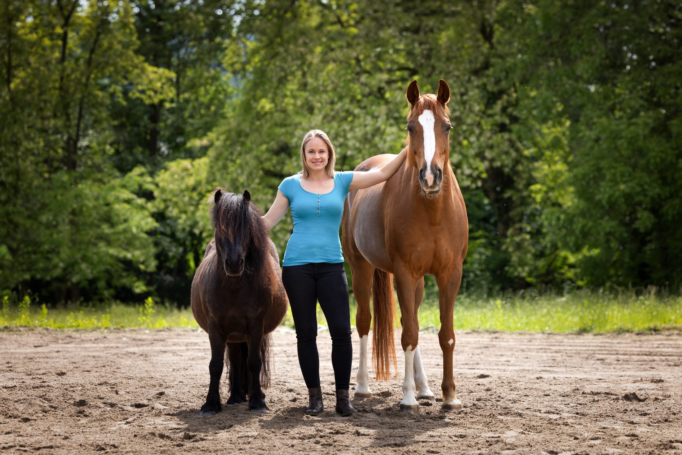 Delfin Horsetraining, Über uns