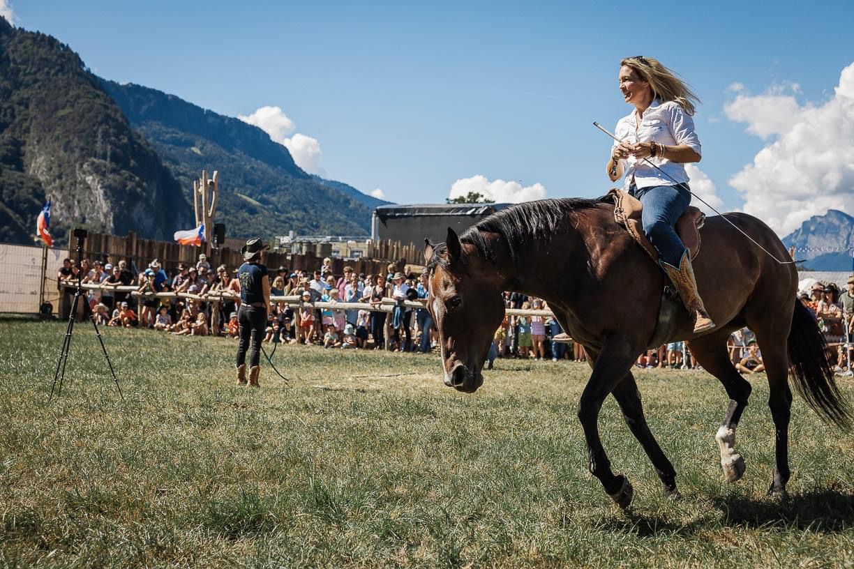 Delfin Horsetraining, Tageskurs für Trainer, Coaches , Ausbildner und Fortgeschrittene