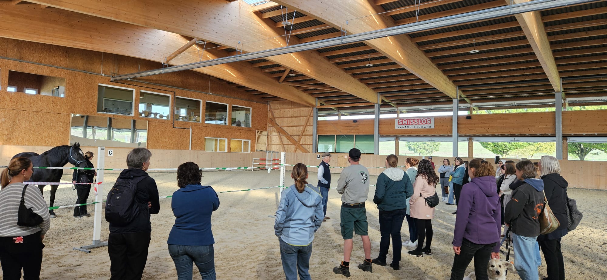 Delfin Horsetraining, Film- und Info-Event Aadorf 03.10.26