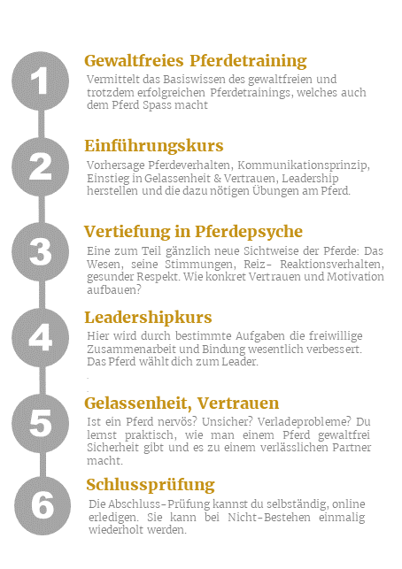 Delfin Horsetraining, Verlasspferd-Lehrgang