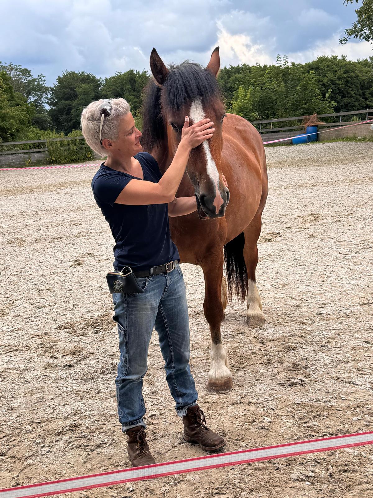 Delfin Horsetraining, Über uns