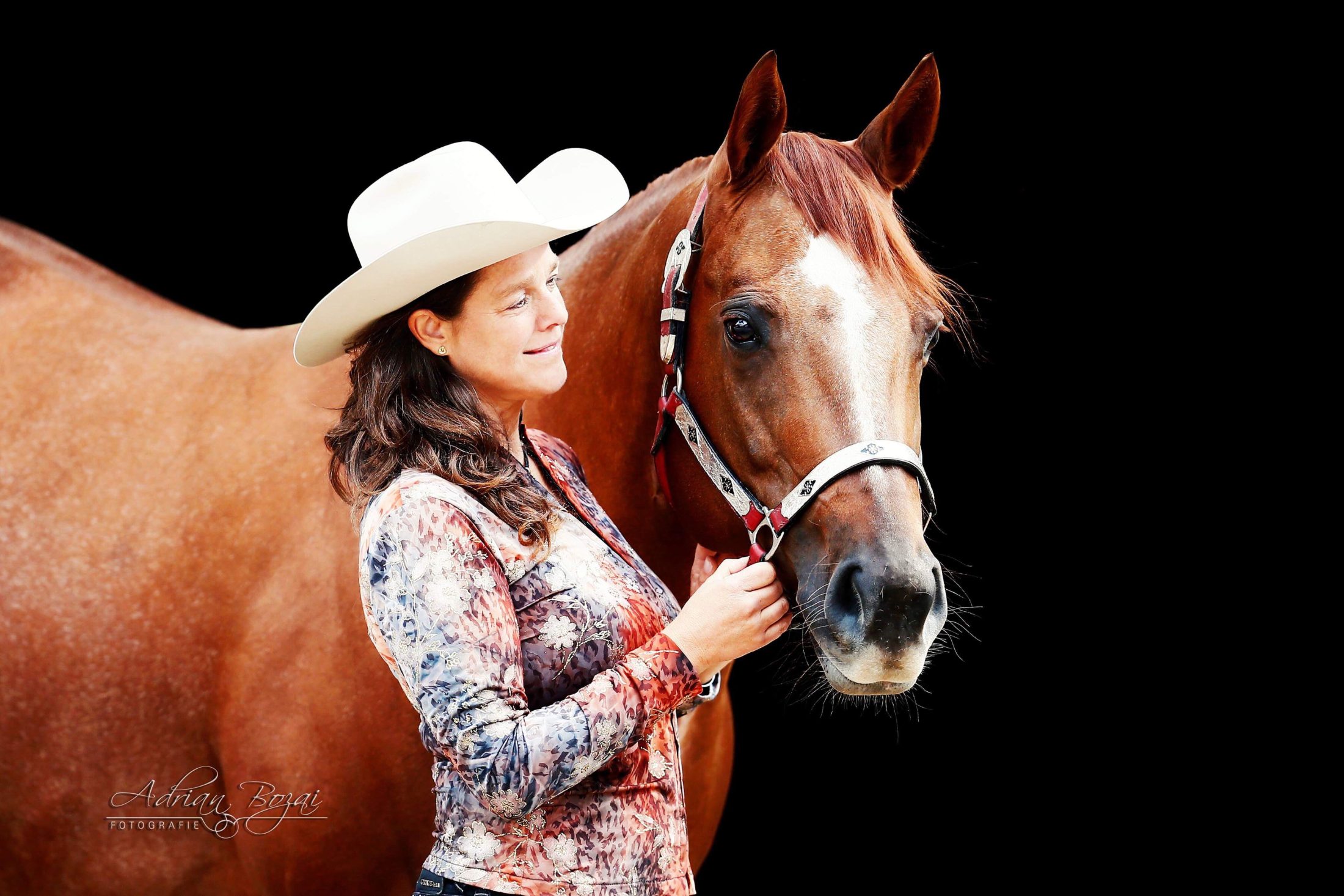 Delfin Horsetraining, Über uns