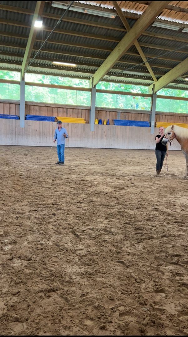 Delfin Horsetraining, Clinic Enggistein Bern 1. Juni 25