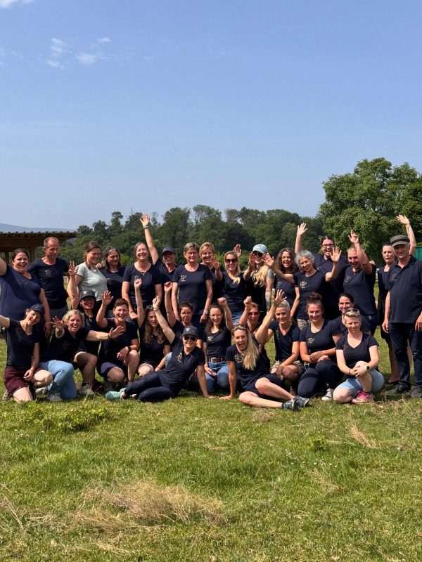 Delfin Horsetraining, Weiterbildungstag Coaches 14. Juni 2025