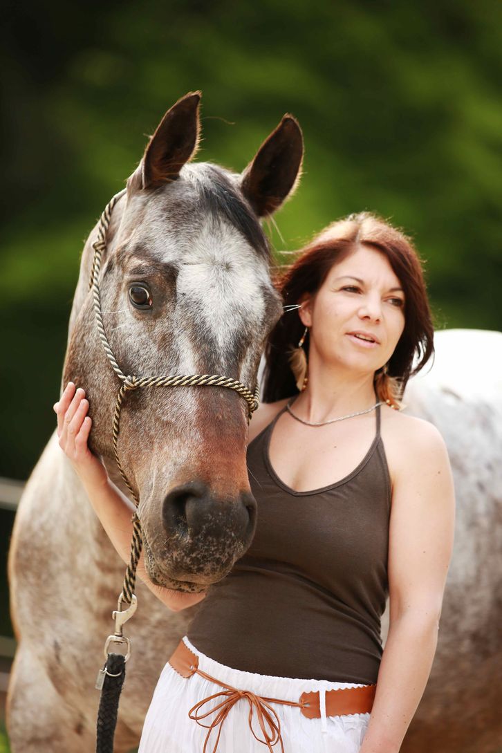 Delfin Horsetraining, Über uns