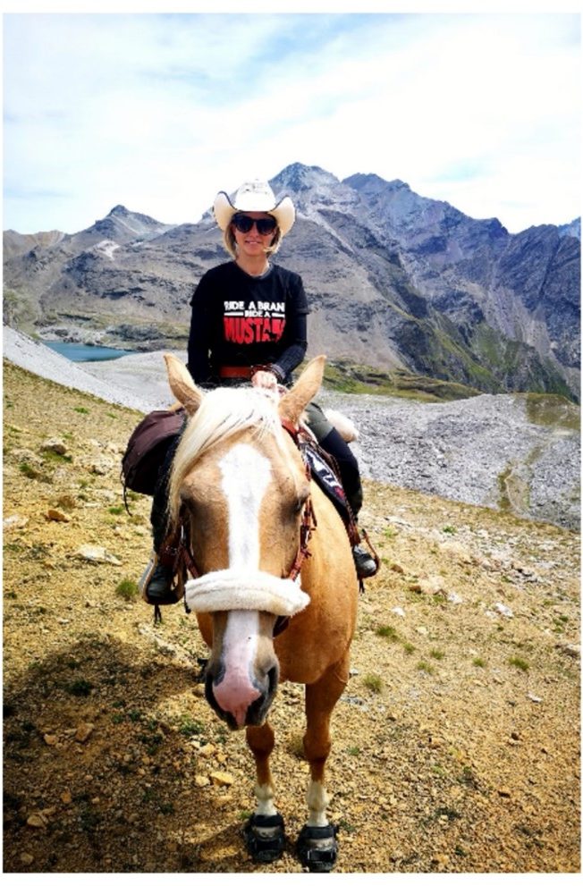 Delfin Horsetraining, Über uns