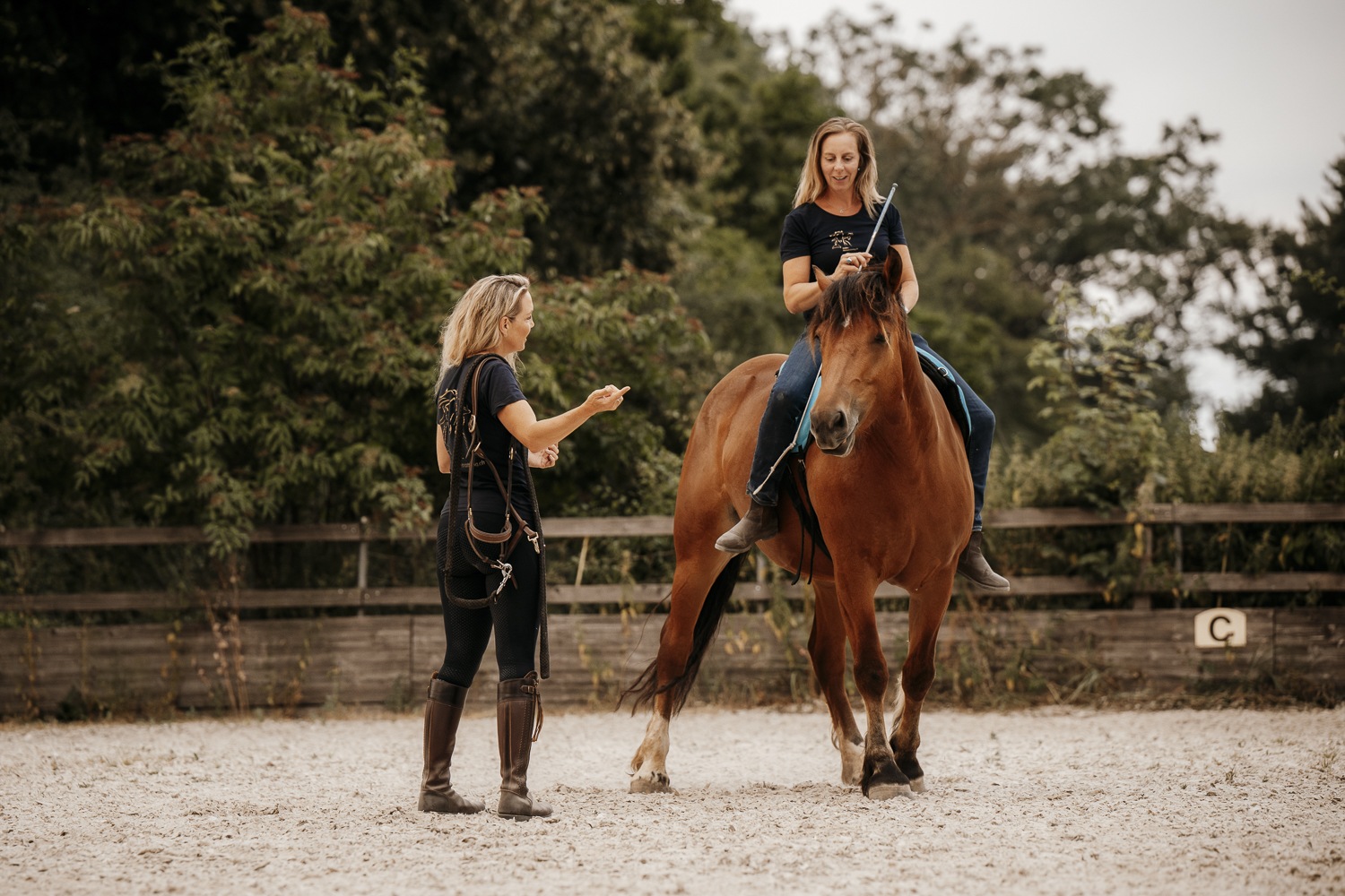 Delfin Horsetraining, Tageskurs für Trainer, Coaches , Ausbildner und Fortgeschrittene