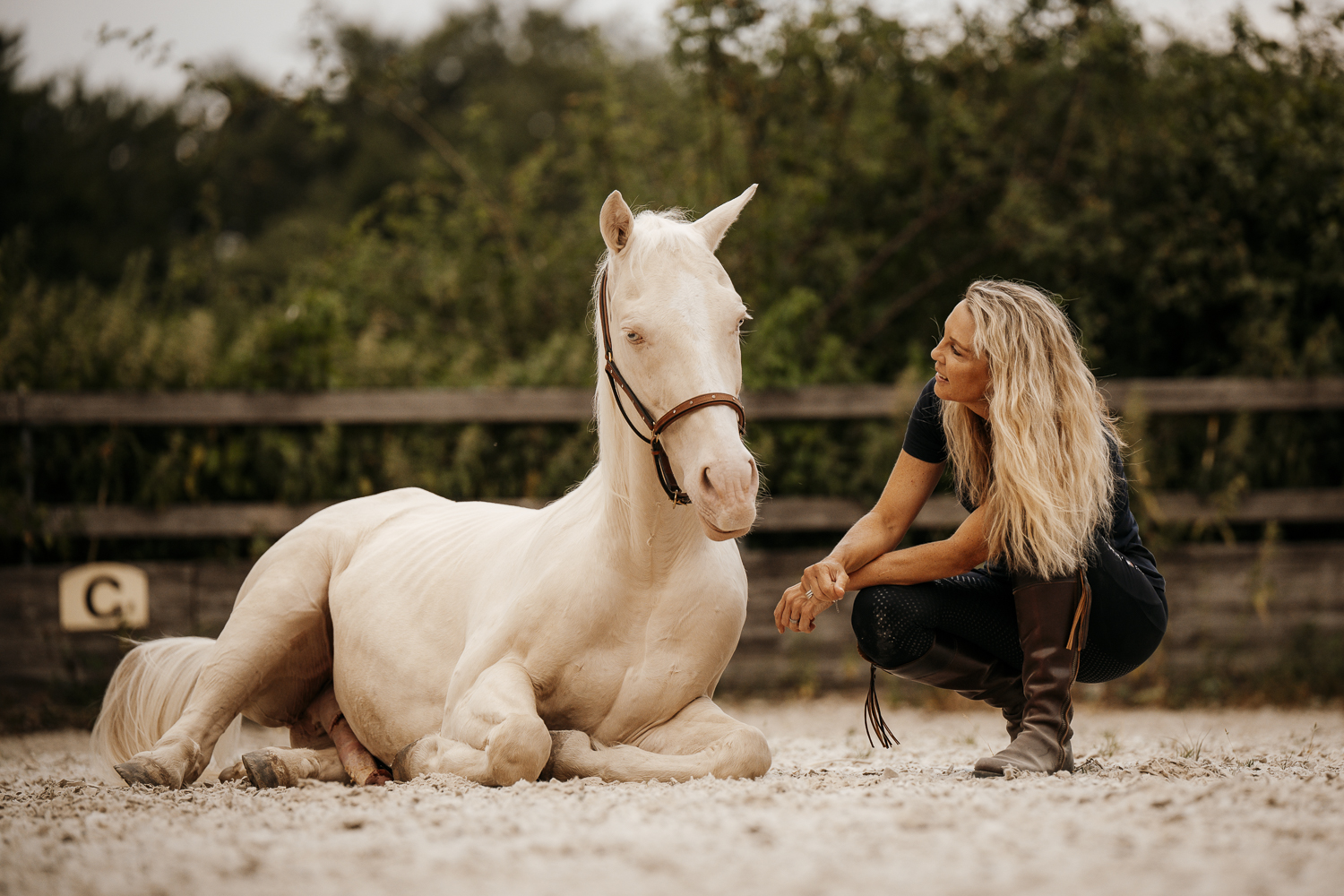 Delfin Horsetraining, Tageskurs: Spiel, Spass und Tricks in Wald ZH