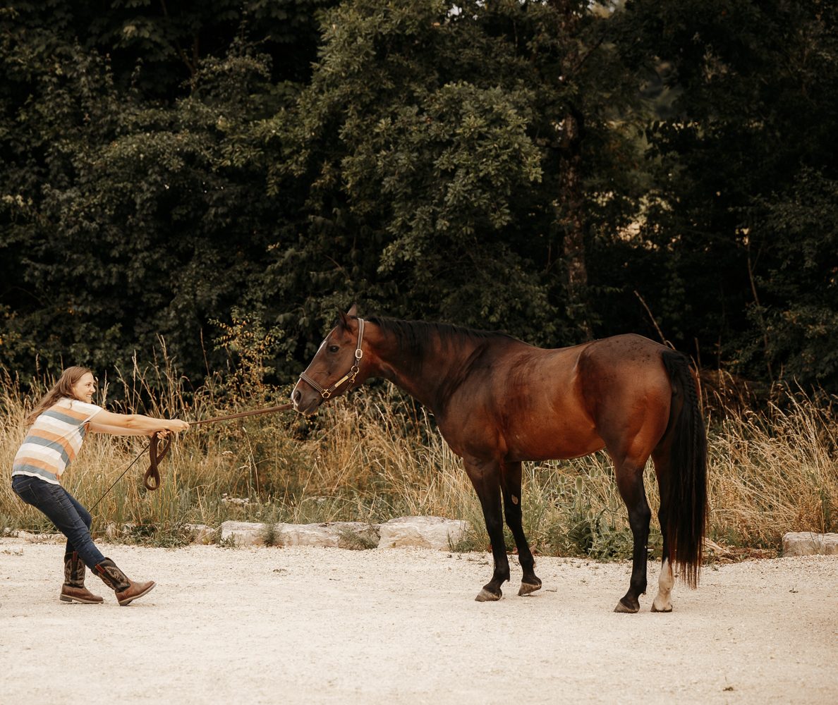 Delfin Horsetraining, Gelassenheitskurs in Binningen