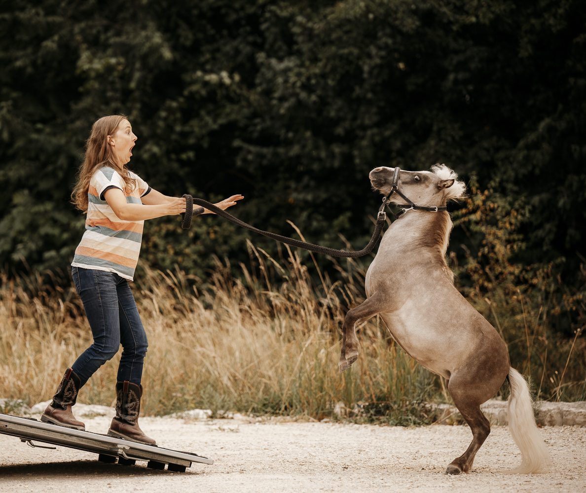 Delfin Horsetraining, Gelassenheitskurs in Zofingen