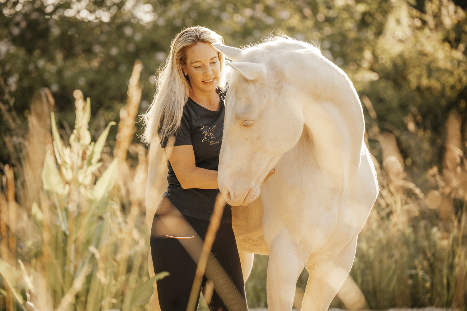 Delfin Horsetraining, Tageskurs: Medical Training in Wernetshausen ZH