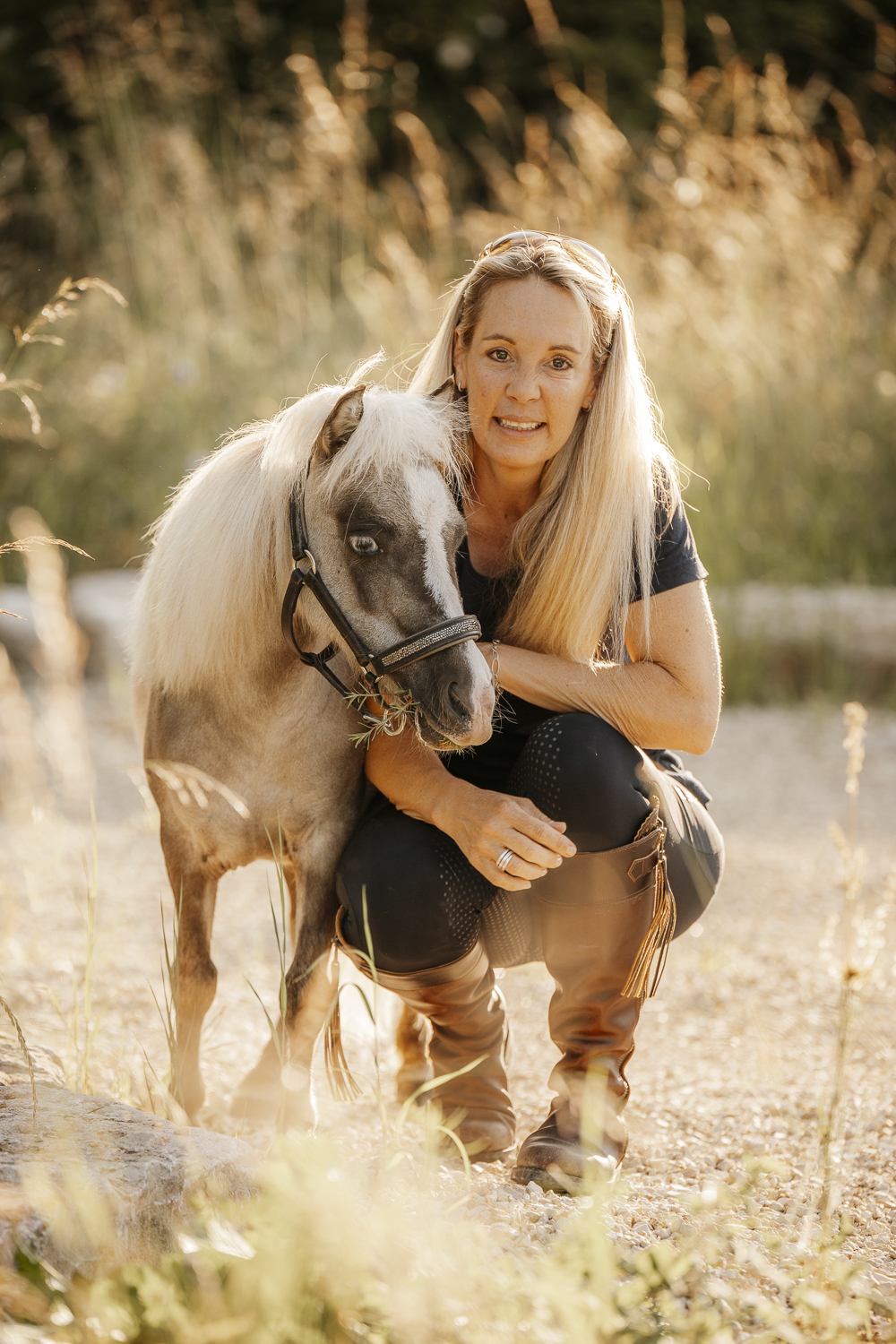 Delfin Horsetraining, Über uns