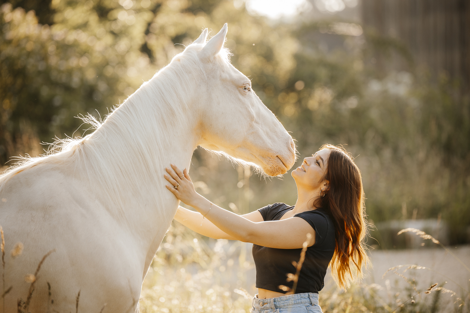 Delfin Horsetraining, Start Verlasspferd-Lehrgang 2026