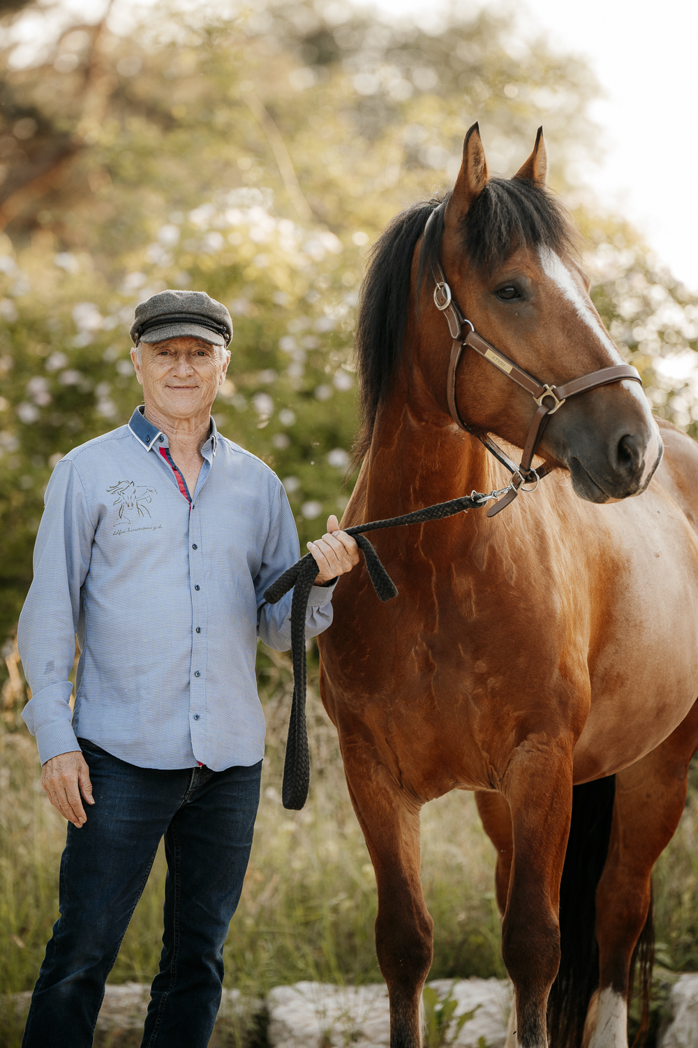 Delfin Horsetraining, CSIO St.Gallen mit Stand und Live-Auftritten