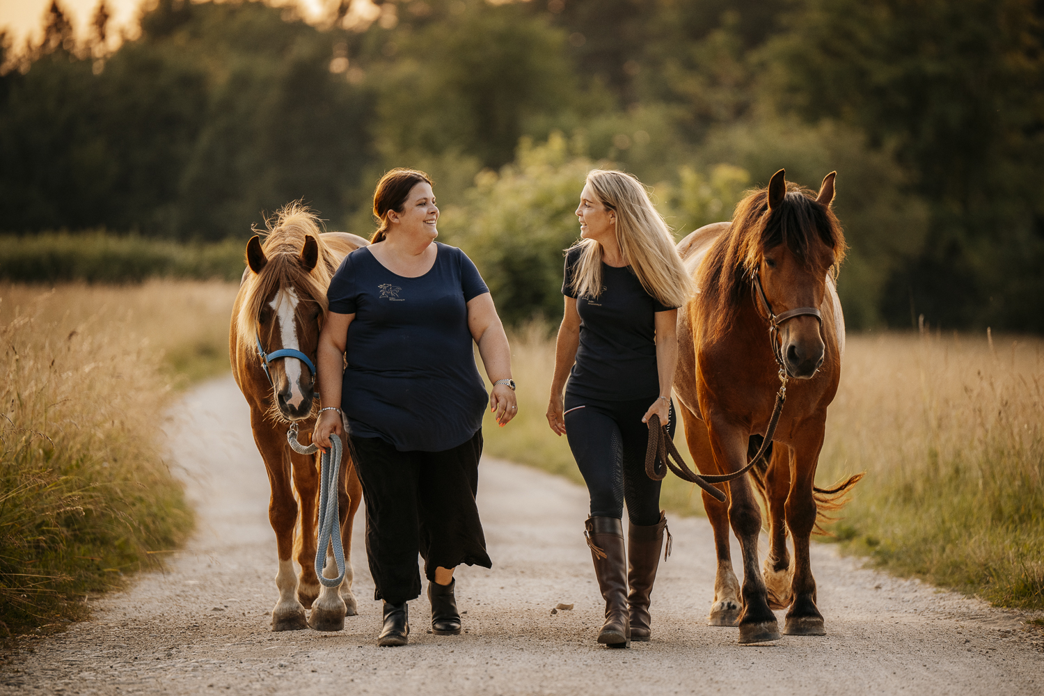 Delfin Horsetraining, Startseite