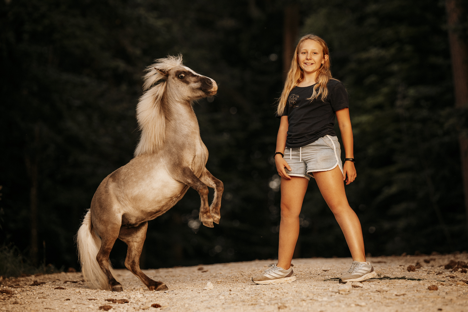 Delfin Horsetraining, Über uns