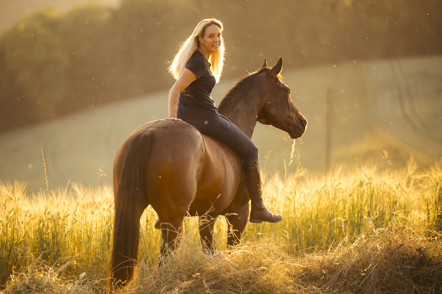 Delfin Horsetraining, Shop