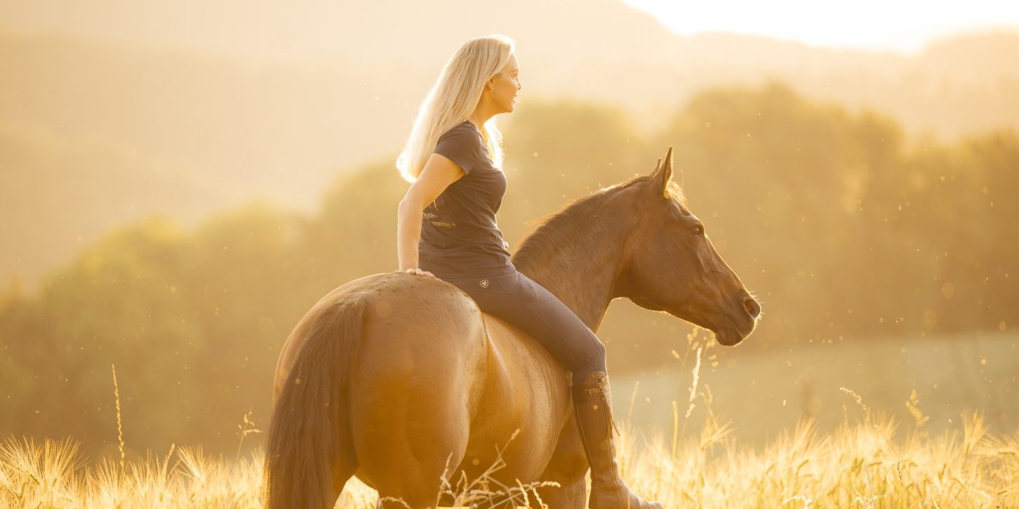 Delfin Horsetraining, Coach werden