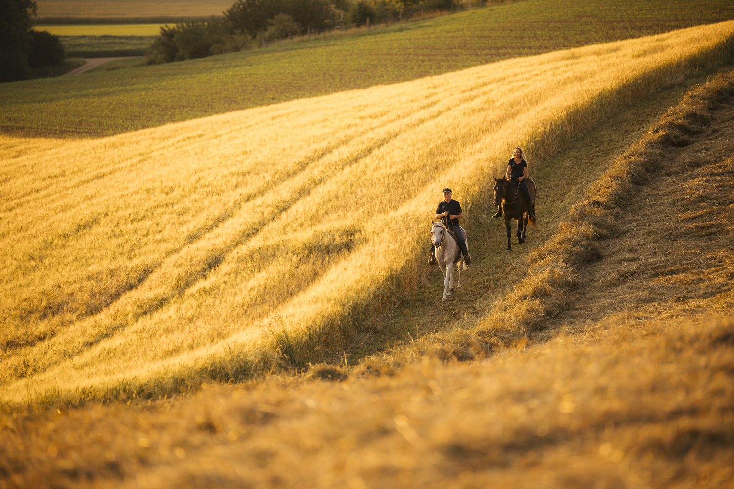 Delfin Horsetraining, Über uns