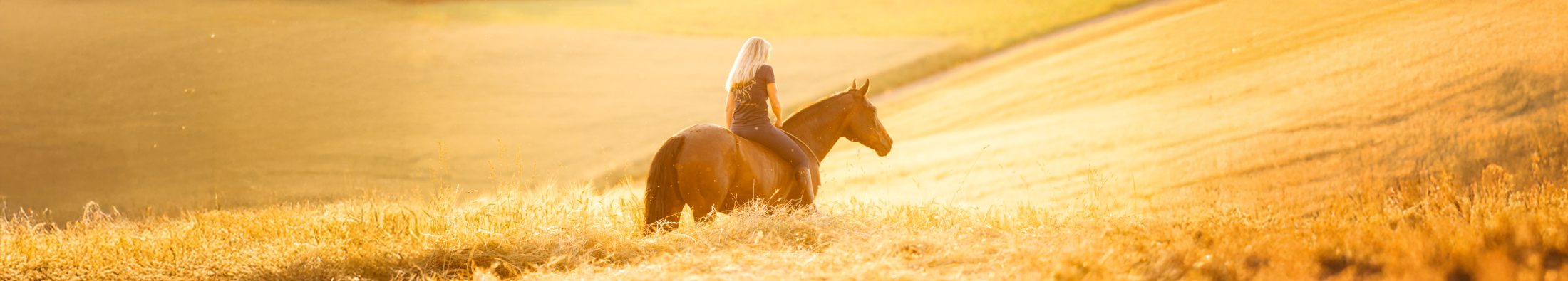 Delfin Horsetraining, Shop