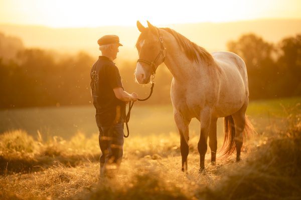 Delfin Horsetraining, Passion Reitkultur 16.-18.Oktober 2026 in Aarau