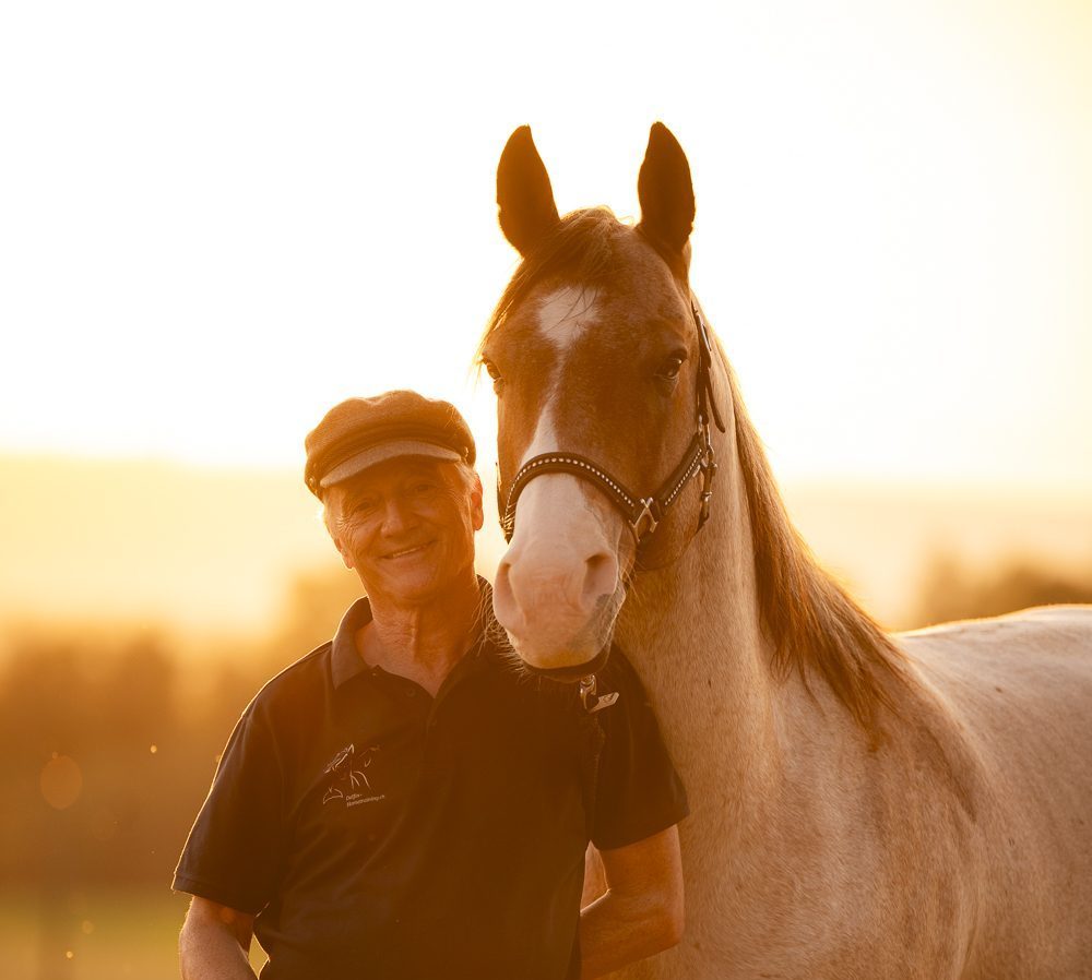 Delfin Horsetraining, Über uns