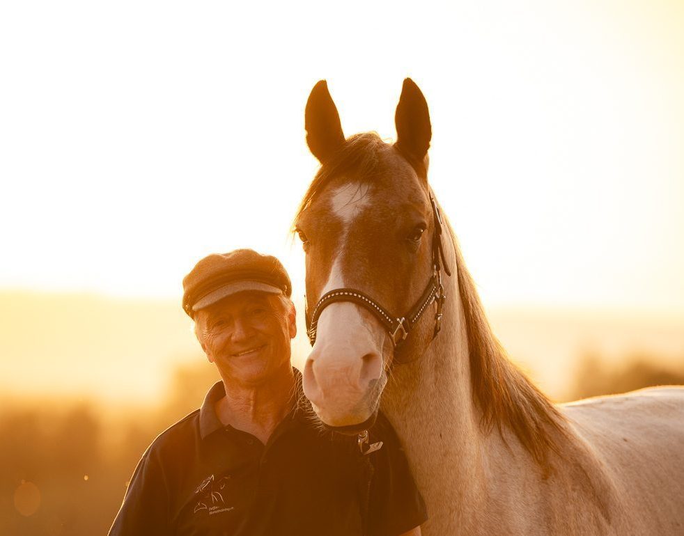 Delfin Horsetraining, Über uns