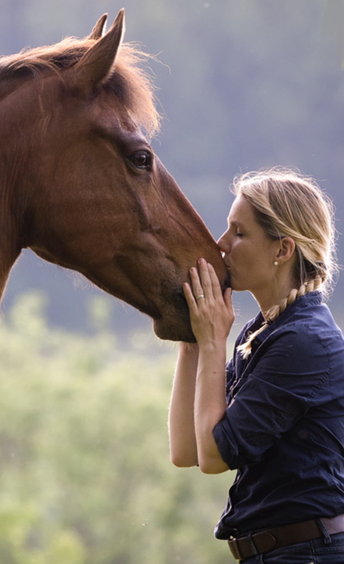 Delfin Horsetraining, Über uns
