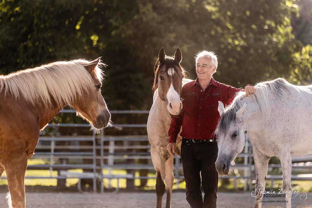 Delfin Horsetraining, Startseite