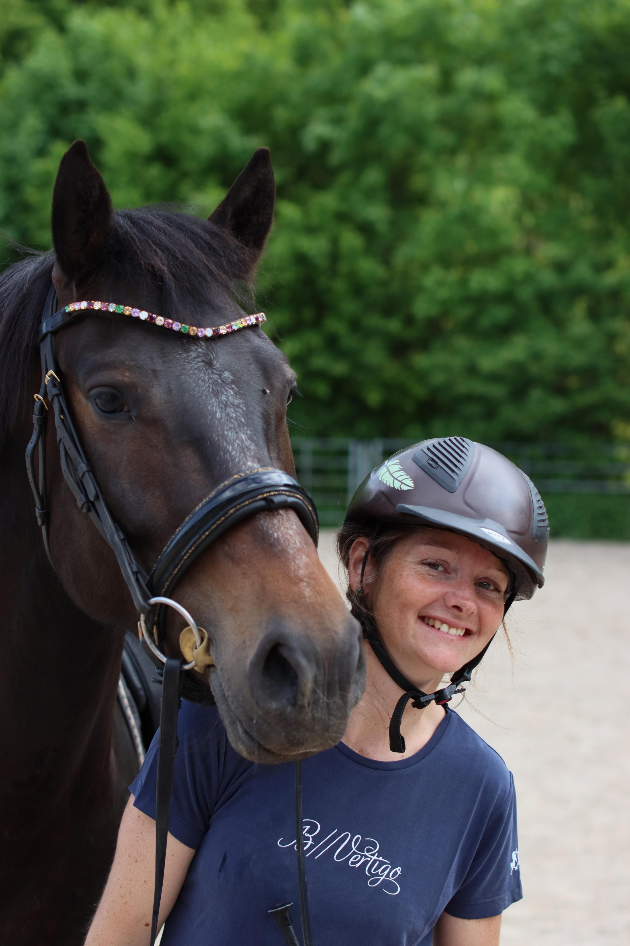 Delfin Horsetraining, Über uns