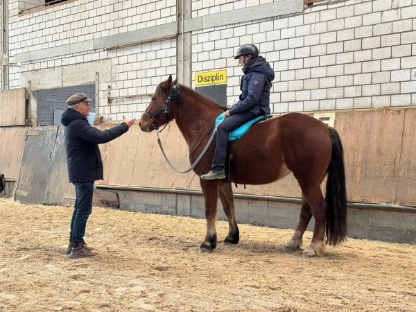 Delfin Horsetraining, Freireiten-Kurs in Binningen BL