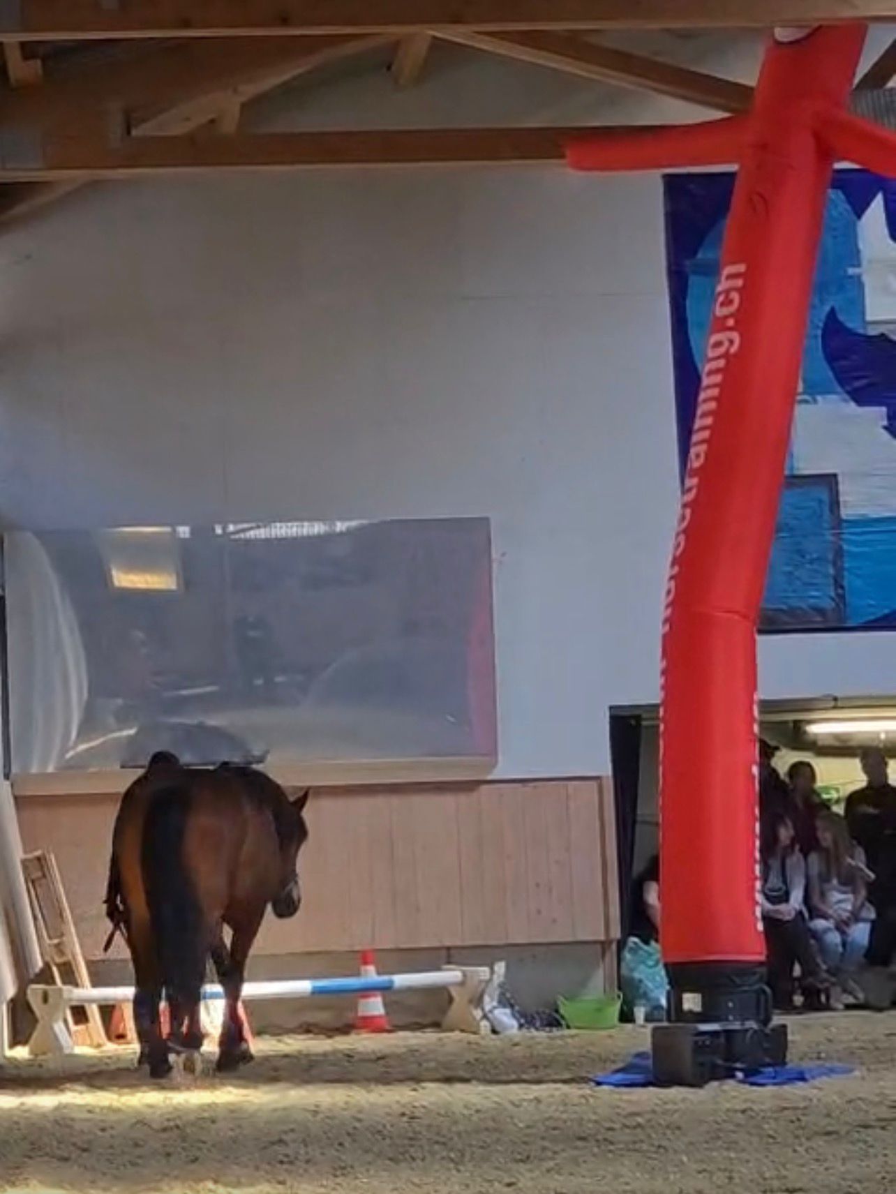 Delfin Horsetraining, Freireiten-und Gelassenheit Kurs in Gunterswilen TG